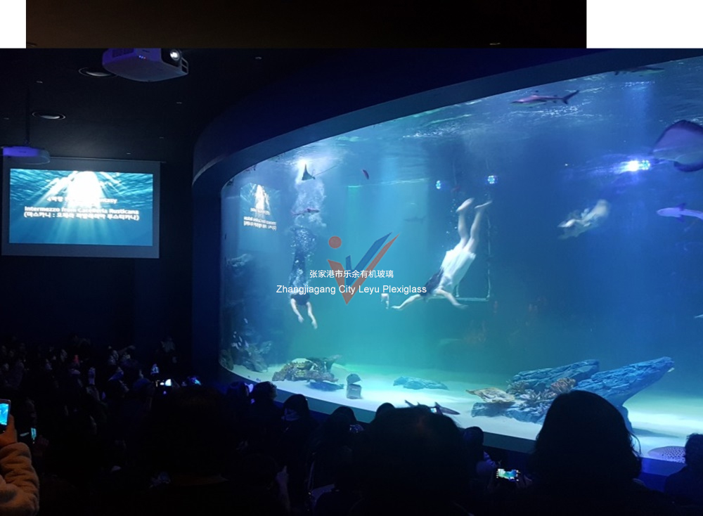 韩国东大丘海底世界